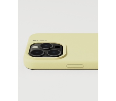 Nudient Base Case