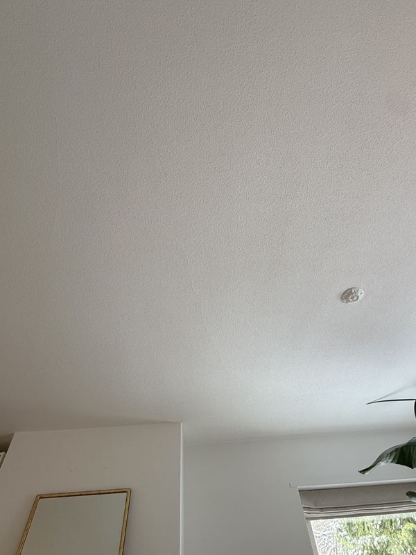 Afbeeldingslocatie: https://tweakers.net/i/iRwuieBe8GNRfGicQOOBAUNgr-A=/x800/filters:strip_icc():strip_exif()/f/image/SVy4ihEKioDZqM7n43gKwUFs.jpg?f=fotoalbum_large