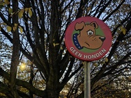 OnePlus 15 cameratest - 2x zoom