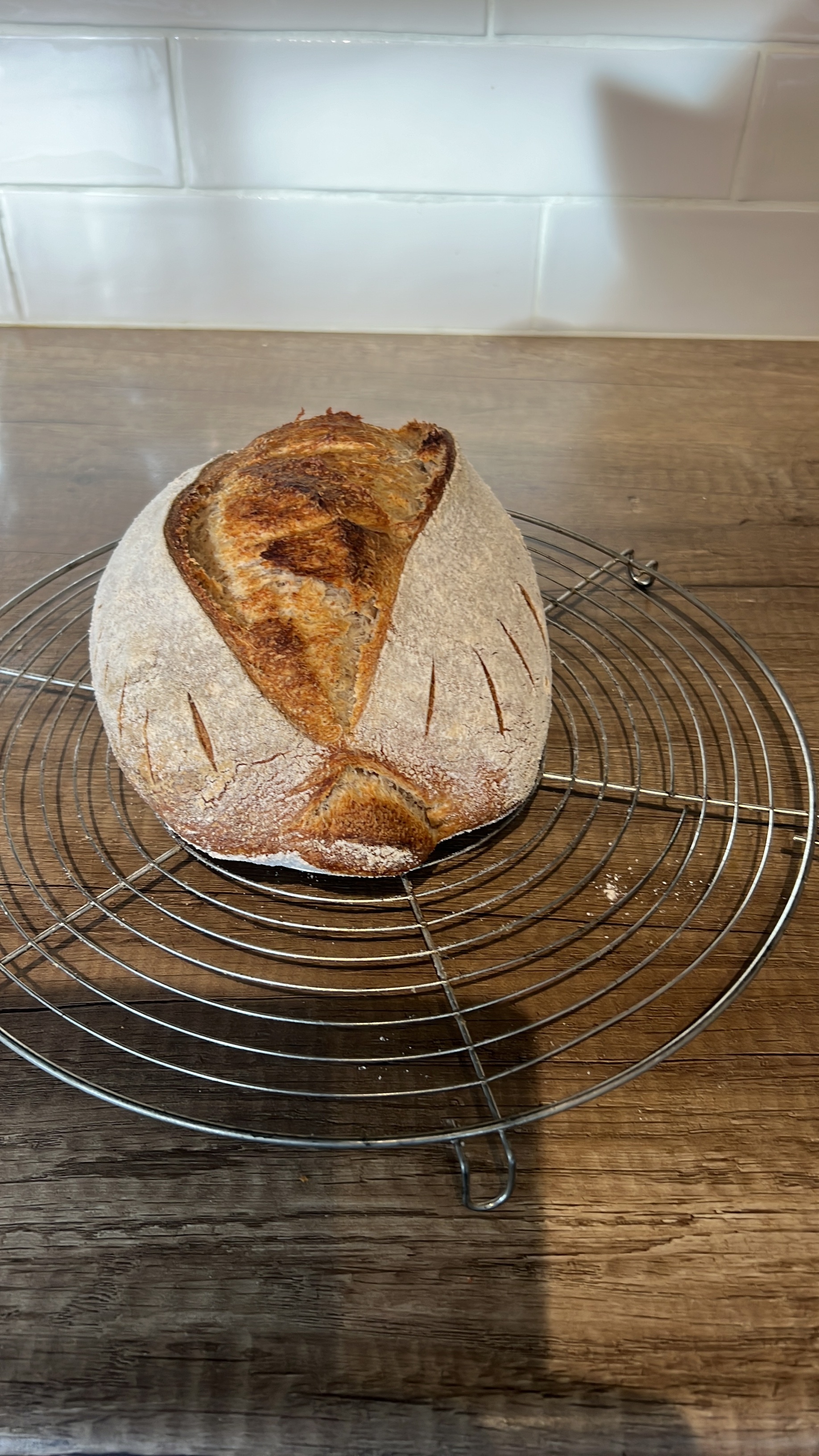 Afbeeldingslocatie: https://tweakers.net/i/iUiN21qthQQ_A0eZ0TWjEUZOPME=/fit-in/4920x3264/filters:max_bytes(3145728):no_upscale():strip_icc():strip_exif()/f/image/ls0Hb24rwihGtKgnW8Bkm6uO.jpg?f=user_large