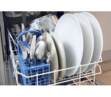 Indesit DSFE 1B10