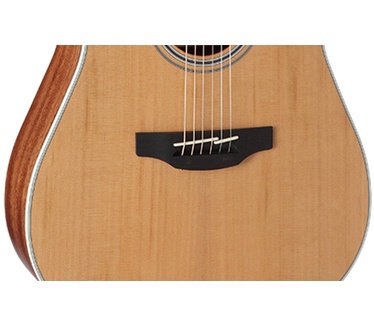 Takamine GD20CE-NS