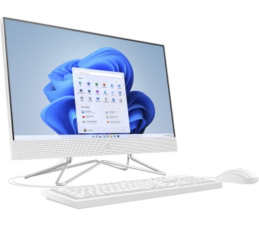 HP All-in-One 24-df1007nd
