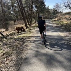 Afbeeldingslocatie: https://tweakers.net/i/i_43Su4TQcUcc5h08UOyHZ1p-UU=/232x232/filters:strip_icc():strip_exif()/f/image/EM0LOTvONEn61G30T2Wyn3Ky.jpg?f=fotoalbum_tile