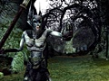 Lotro: Mirkwood
