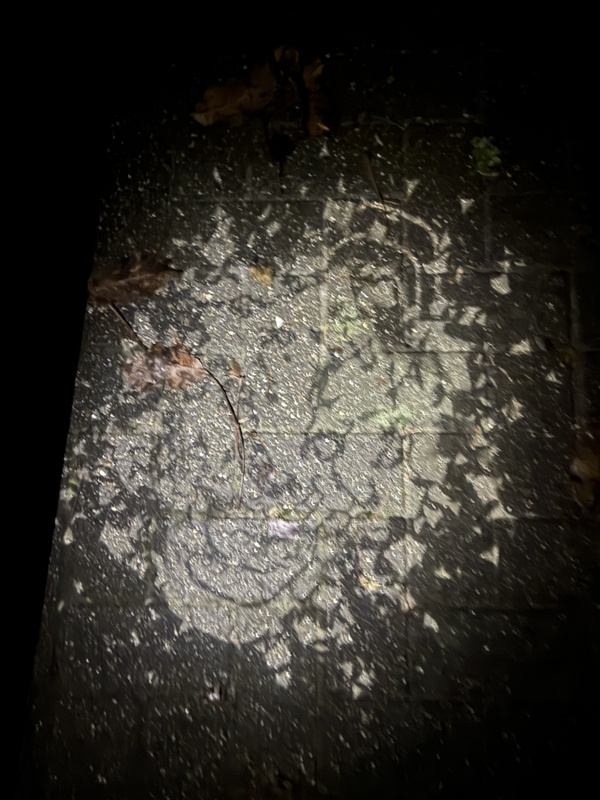 Afbeeldingslocatie: https://tweakers.net/i/ieexlsh9-yd6RceWk94xrTpz7_0=/x800/filters:strip_icc():strip_exif()/f/image/kU8ALS01ejCBwcuzf0FtwGq0.jpg?f=fotoalbum_large