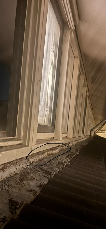 Afbeeldingslocatie: https://tweakers.net/i/ihRFJ5CRgp6FGcWGTAOL30YkNOM=/x800/filters:strip_icc():strip_exif()/f/image/U87sNr0Z7V96DTPYTrHOWXpH.jpg?f=fotoalbum_large