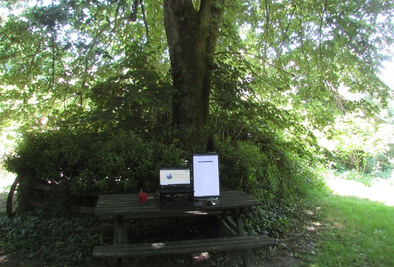 Afbeeldingslocatie: https://tweakers.net/i/ijwdlwxvt_3zc6acW6_W8QiS-Fc=/800x/filters:strip_icc():strip_exif()/f/image/QV9o1h5nNsbGdSVQS4uwnkGu.jpg?f=fotoalbum_large
