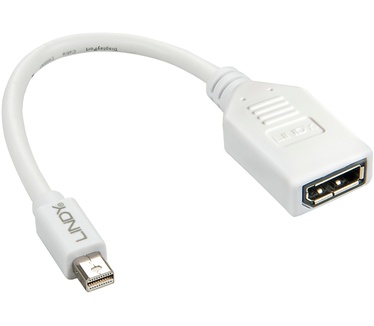 Lindy Kabel / Adapter