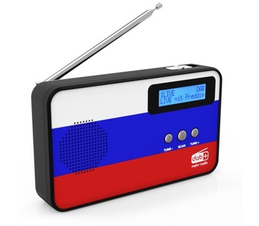 Sky Vision DAB 100 RU