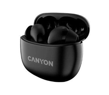 Canyon CNS-TWS5B