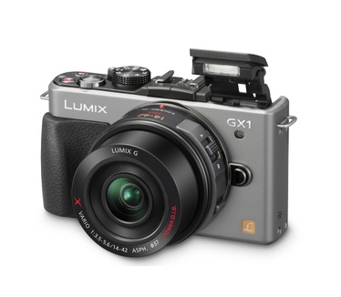 Panasonic Lumix GX1 + 14-42mm F3.5-5.6 (pancake)