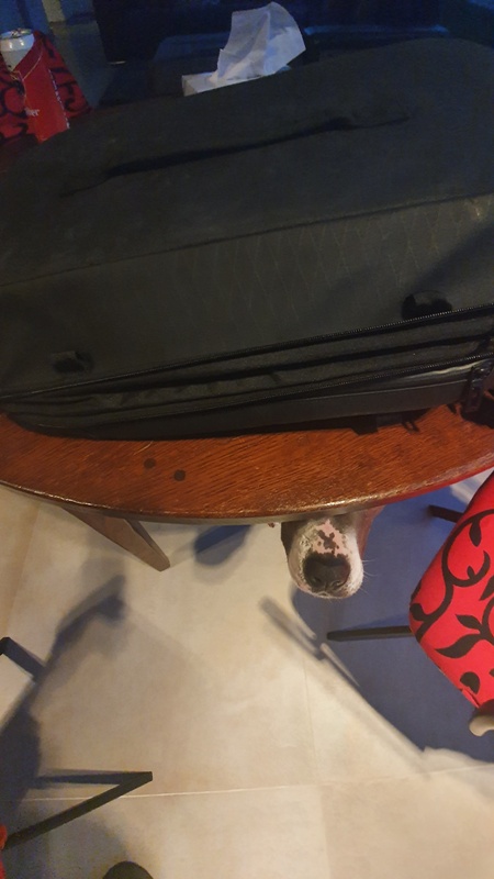 Afbeeldingslocatie: https://tweakers.net/i/iySSilDdQCewnhs764yrQH6QkzI=/x800/filters:strip_icc():strip_exif()/f/image/LTeMGgzg4h3DxqmEDy1dAOL1.jpg?f=fotoalbum_large