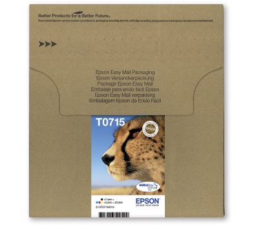 Epson T071 EasyMail multipack