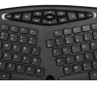 Adesso WKB-1600CB-DE