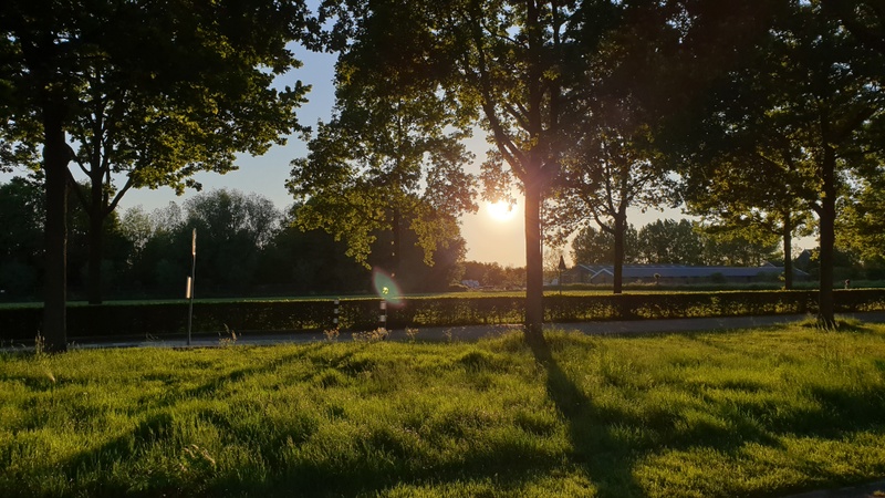 Afbeeldingslocatie: https://tweakers.net/i/j-vJIF0jbCZQERrDENumrg_r6Dk=/800x/filters:strip_icc():strip_exif()/f/image/ZoKPfMCd6MOBw0WmOPIM04fB.jpg?f=fotoalbum_large