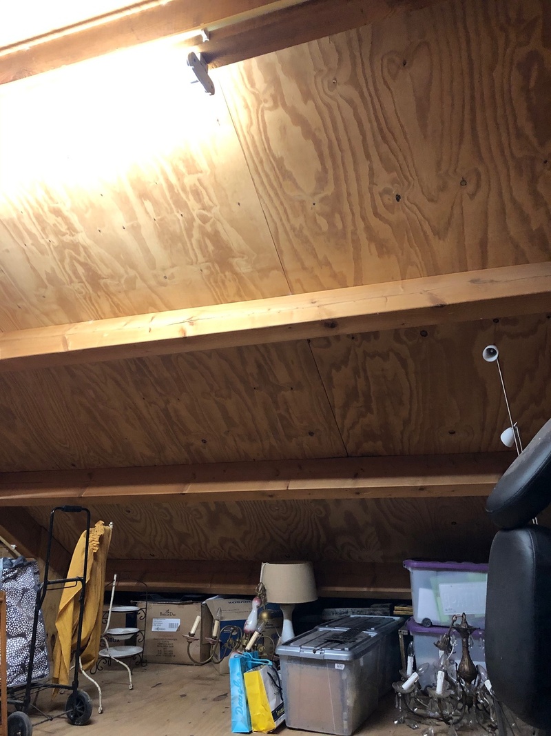 Afbeeldingslocatie: https://tweakers.net/i/j0ZPnnfJuGBgCr9cQV55oVMjJQA=/800x/filters:strip_icc():strip_exif()/f/image/bCbn4Hiw4cB7W01CPKNab2YT.jpg?f=fotoalbum_large