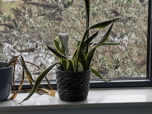 Afbeeldingslocatie: https://tweakers.net/i/j2ekrw6dFVCq0cPf_m96xRVe27Y=/620x/filters:strip_exif()/m/916291/1VSNMcJJwQIYLlAc6C2nRGJy4G35HsUEtmV2lpbpvAiRyx6D6y.png?f=620xauto