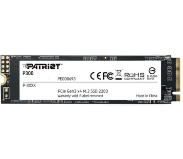 Patriot Memory P300P256GM28