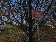 OnePlus 15 cameratest - Primair nachtmodus