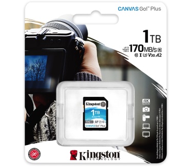 Kingston 1TB SDXC Canvas Go Plus 170R C10 UHS-I U3 V30