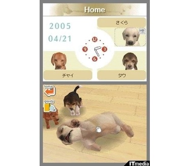 Nintendogs, Labrador & friends, Nintendo DS