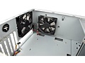 P183 Fans