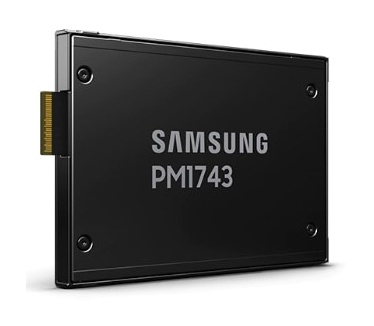 Samsung PM1743 1,92TB