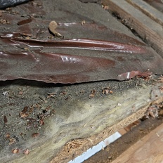 Afbeeldingslocatie: https://tweakers.net/i/jACFE8zW2JBUcH6Oexij30vAFV8=/232x232/filters:strip_icc():strip_exif()/f/image/K7HLbQgx9YJbgcxeO3agA0Q1.jpg?f=fotoalbum_tile