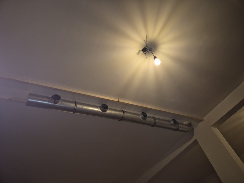 Afbeeldingslocatie: https://tweakers.net/i/jACmNvMk-jMQR8mK4S-WhKuHBbE=/800x/filters:strip_icc():strip_exif()/f/image/Mp8UqVPB3PExfxC5ilA5BEb9.jpg?f=fotoalbum_large