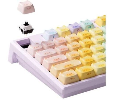 Akko MONSGEEK MG108B Colorful Cats RGB Draadloos Hotswap Mechanisch Gaming Toetsenbord