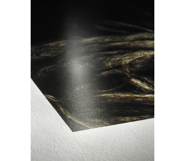 Hahnemühle 10640308