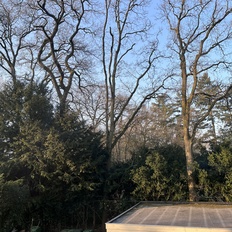 Afbeeldingslocatie: https://tweakers.net/i/jDAcqdrf76pfIyvzhWS6oDVEufY=/232x232/filters:strip_icc():strip_exif()/f/image/nbAxPafx8yVwUyYEenRTDVmh.jpg?f=fotoalbum_tile