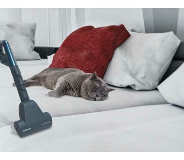 Hoover Telios TX 60 PET