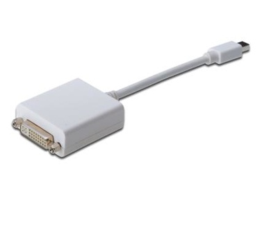 Assman mini DP - DVI-D, 0.15m