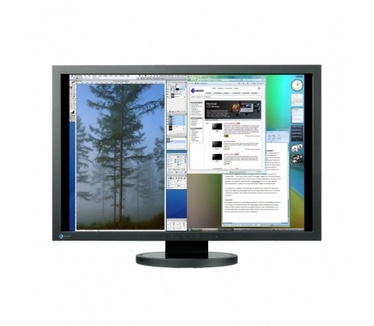 Eizo Flexscan SX3031WH