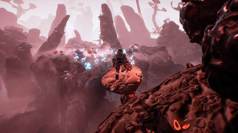 Afbeeldingslocatie: https://tweakers.net/i/jGsx8MnPnomySRI4x5ms4xCoyuA=/full-fit-in/4000x4000/filters:no_upscale():fill(white):strip_exif()/f/image/XeD7JpjXGYrBeqal6w8u8SrI.png?f=user_large