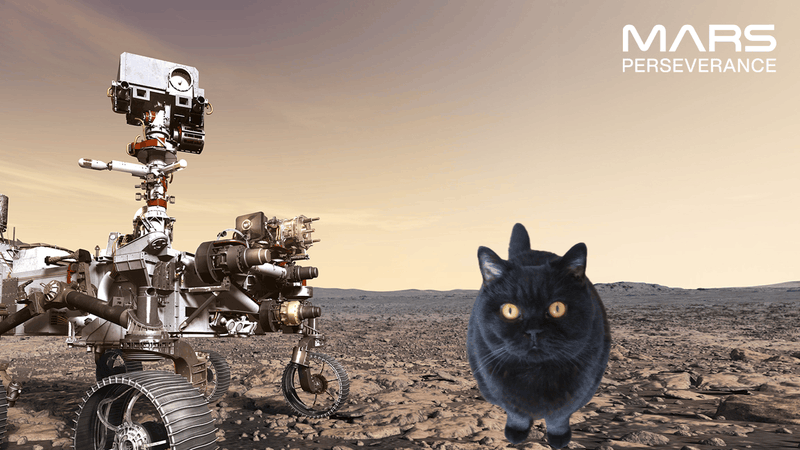 Afbeeldingslocatie: https://tweakers.net/i/jJfBMpEiwVyJeCSxvXOq97wu0Mw=/800x/filters:strip_exif()/f/image/AMioABtYFOanaqJkSwrwDp3l.png?f=fotoalbum_large