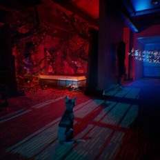 Afbeeldingslocatie: https://tweakers.net/i/jKMSMnGgy-Hq6IKuyccT8xx_3as=/232x232/filters:strip_icc():strip_exif()/f/image/uYVMlj0S8SDHbJ1EcuUMO08o.jpg?f=fotoalbum_tile