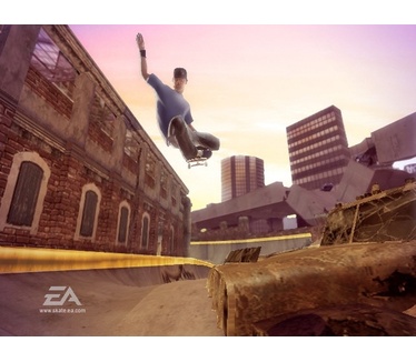 Skate It, Wii