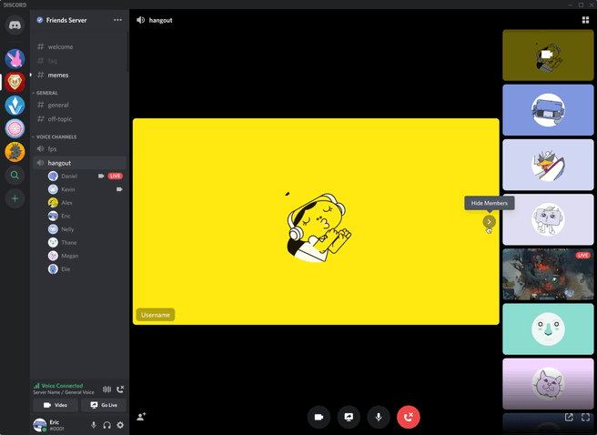 Discord video chat on server