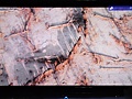 Sharp LE700E praktijktest