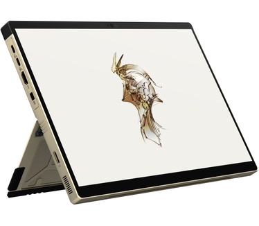 ASUS GZ302EAC-RU178W
