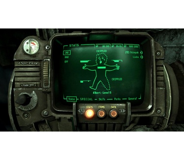 Fallout 3, PC
