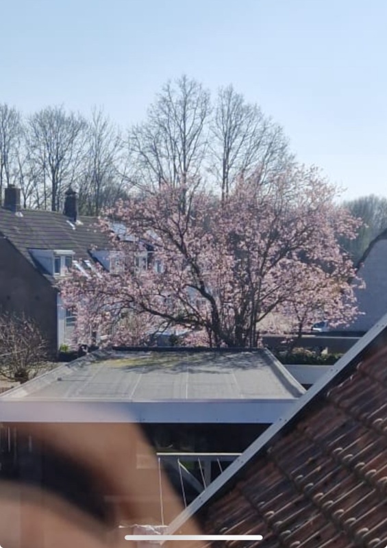 Afbeeldingslocatie: https://tweakers.net/i/jZt4Zotn1uXXBqCbuMlZHW73ryY=/x800/filters:strip_icc():strip_exif()/f/image/qGYvQALvp04T7aoG7Du3OhzH.jpg?f=fotoalbum_large