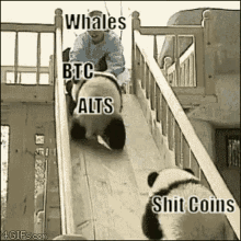 Afbeeldingslocatie: https://tweakers.net/i/jdEum76iXil8MciQ7fb34kdQDw8=/fit-in/4000x4000/filters:no_upscale():gifsicle():strip_exif()/f/image/QuGHYkqnLgQRlE8DOoTuqeZM.gif?f=user_large