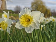 Xiaomi 17 Cameratest - Twee keer zoom