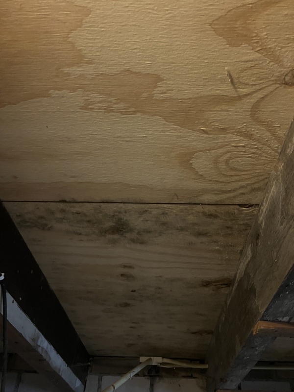 Afbeeldingslocatie: https://tweakers.net/i/jeFLy4a8UReuabE_d5kYdYbtaGc=/x800/filters:strip_icc():strip_exif()/f/image/OhjyiL9R6khYv1ZbT1509qZt.jpg?f=fotoalbum_large