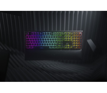 Razer Ornata V2
