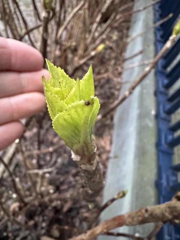 Afbeeldingslocatie: https://tweakers.net/i/jhUiUak7j3_73R1i6gIb_xERkK0=/x800/filters:strip_icc():strip_exif()/f/image/tu3EY9FcrKc0TPkXKW8xPuvs.jpg?f=fotoalbum_large